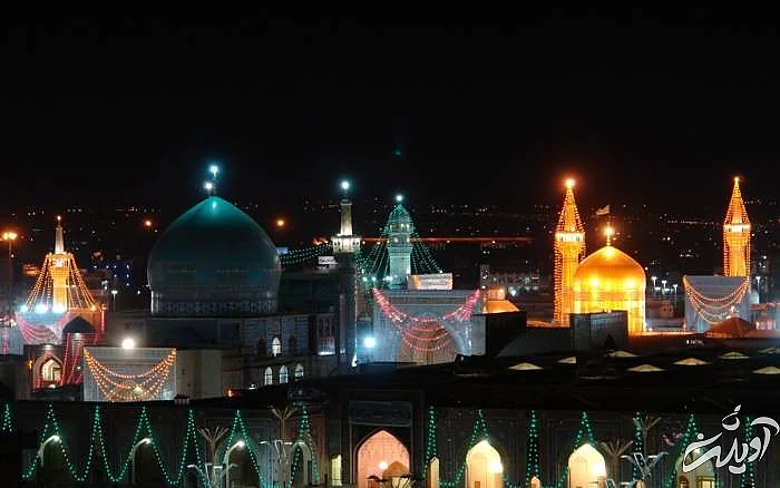 علت ضامن آهو بودن